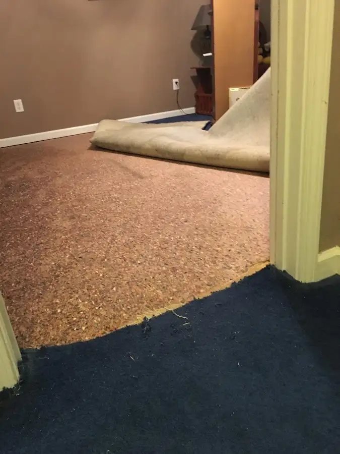 Carpet pad removal revealing water damage during Drying & Dehumidification in Bull Run