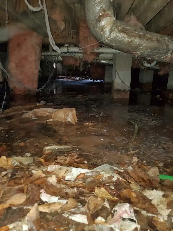 Crawl space flood assessment for Leak Detection & Repair in Bull Run